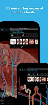 Human Anatomy Atlas 2024 Screenshot 1