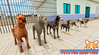 Animal Shelter: Pet World Game Ảnh chụp màn hình 1