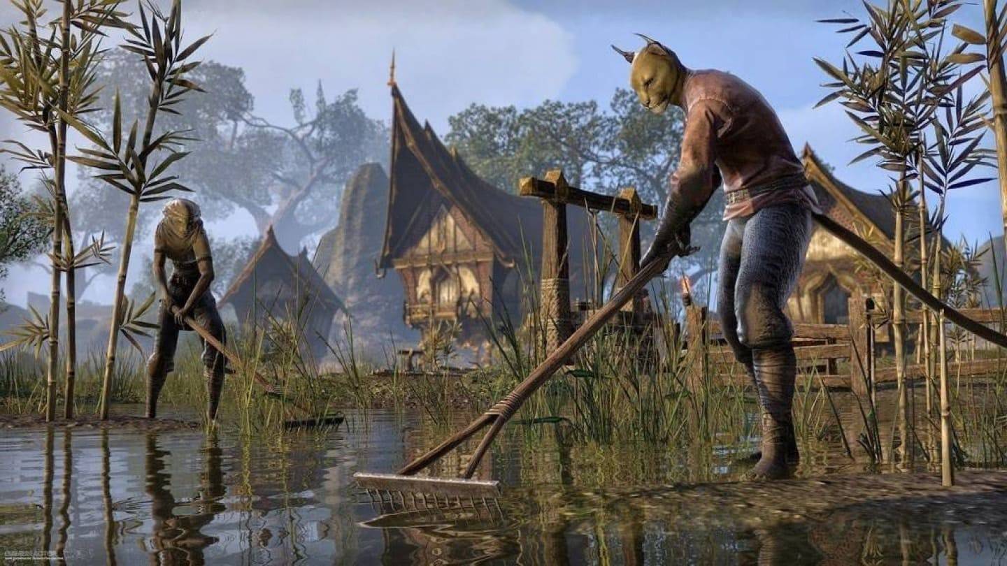 Gamer besteedt $ 100.000 voor Elder Scrolls VI -opname