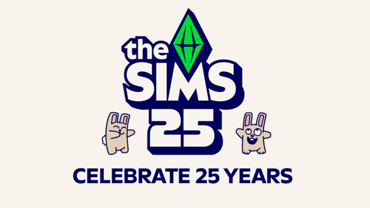 Simowie to 25 lat kamieni milowych 