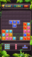 Block Puzzle Jewel Classic ภาพหน้าจอ 2