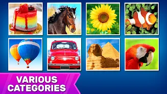 Puzzles: Jigsaw Puzzle Games Screenshot 2