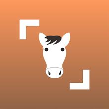 Horse Scanner