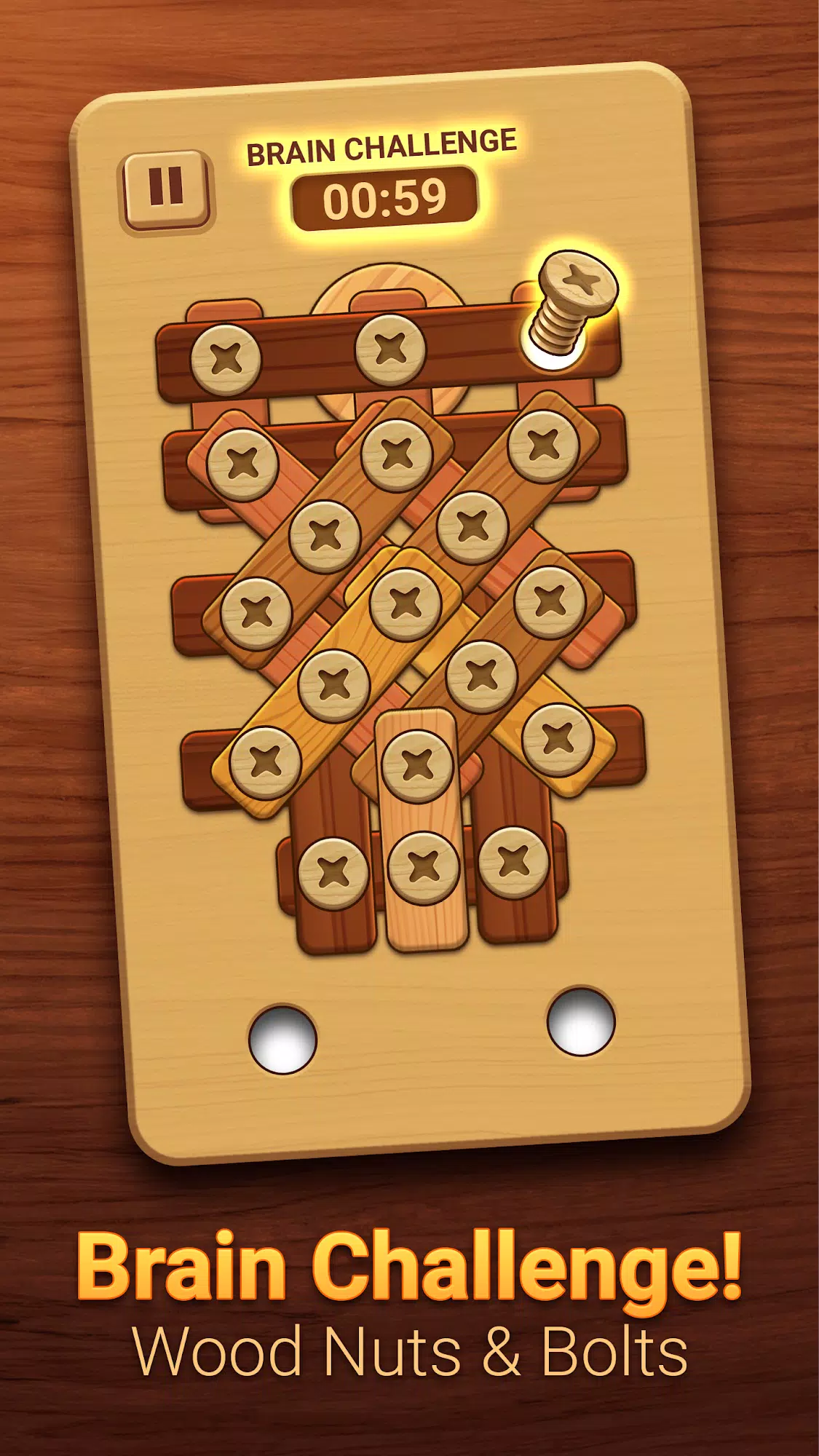 Woodle - Wood Screw Puzzle应用截图第2张