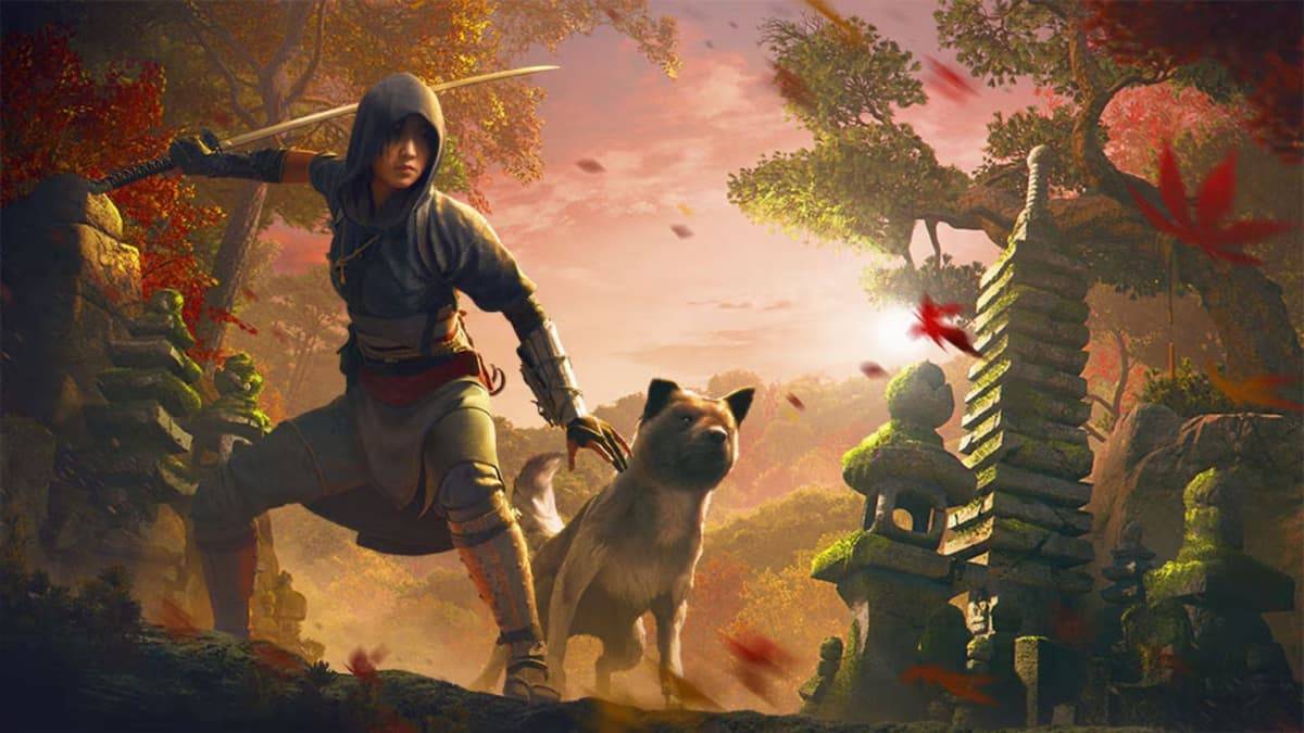 Включить эксплуатацию в области тени Assassin's Creed: плюсы и минусы