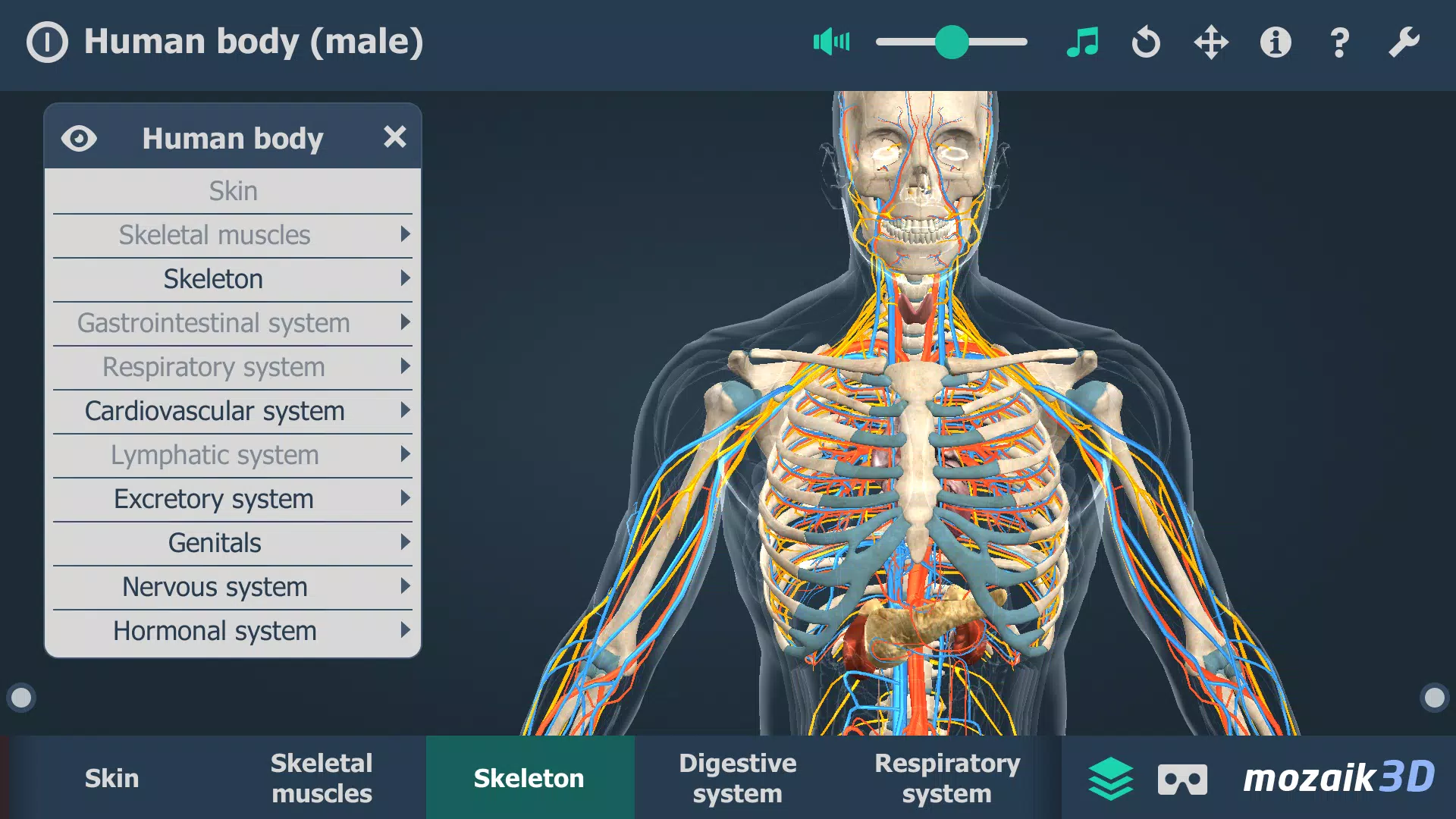 Human body (male) 3D scene Скриншот 3