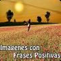 Frases Positivas con Imagenes