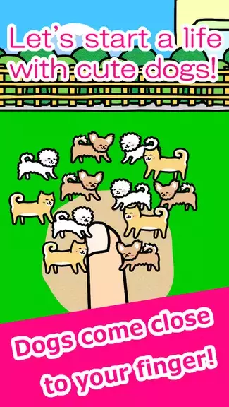 Play with Dogs - relaxing game Screenshot 0