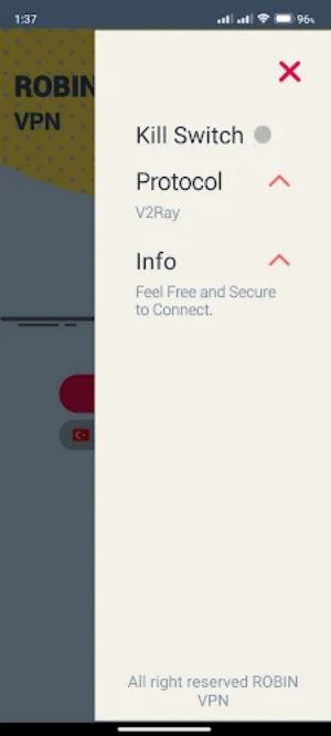 Robin VPN Screenshot 2