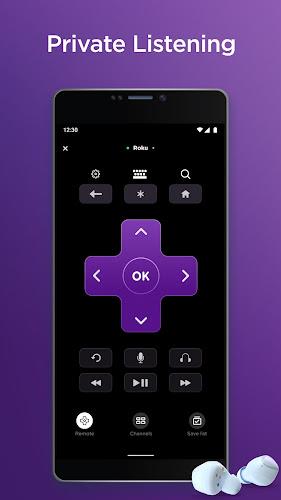 Roku Screenshot 3