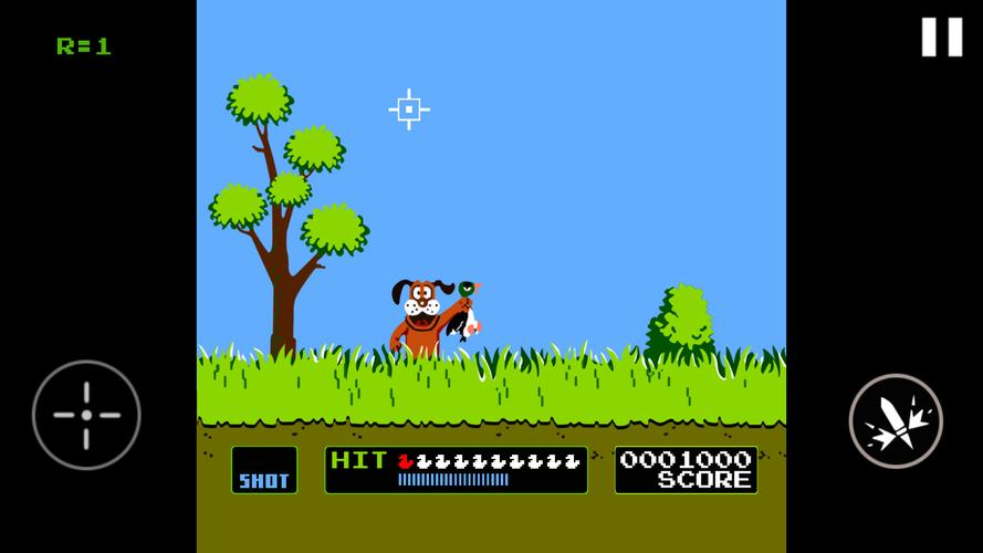 Duck Hunt Ảnh chụp màn hình 1