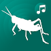 ringtones crickets for phone