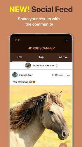 Horse Scanner Screenshot 3