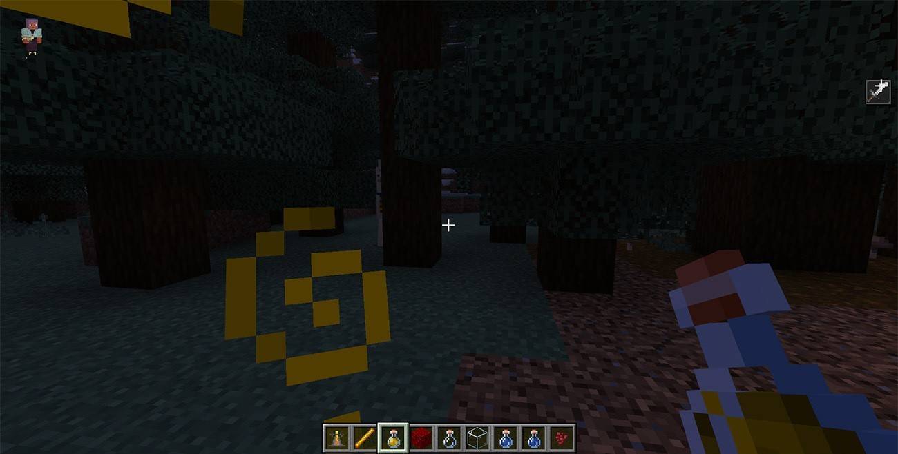 Potion de force à Minecraft