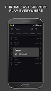 Pulsar Music Player Tangkapan skrin 3