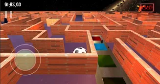 3D Maze Game ( Bhul Bhulaiya) Screenshot 3