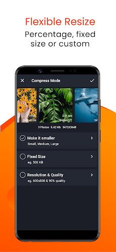 Compress Image Chitro: KB, MB, 螢幕截圖 0