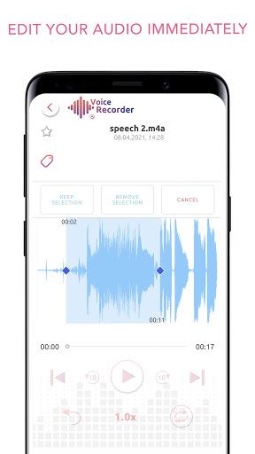 Voice Recorder and Editor App Screenshot 1