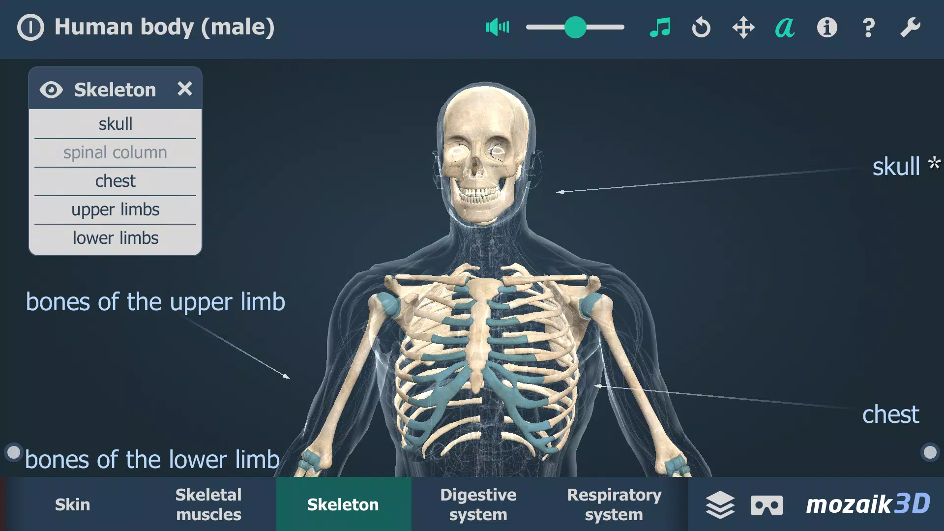 Human body (male) 3D scene Скриншот 2