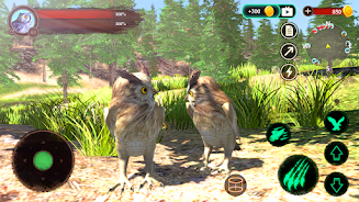 The Owl Screenshot 0