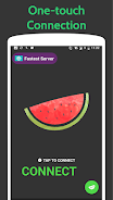 Melon VPN - Secure Proxy VPN Screenshot 0