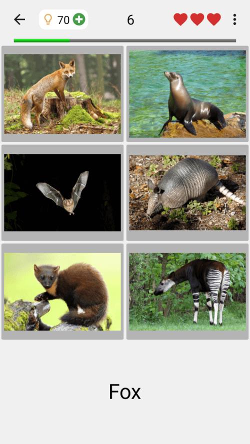 Animals Quiz Learn All Mammals Zrzut ekranu 1