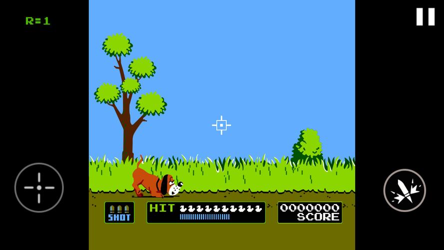 Duck Hunt Ảnh chụp màn hình 3