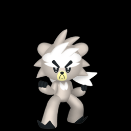 熊徒弟现身Pokemon GO