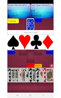 Pinochle Card Game Screenshot 2