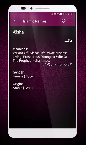 Islamic Names Dictionary Captura de pantalla 2