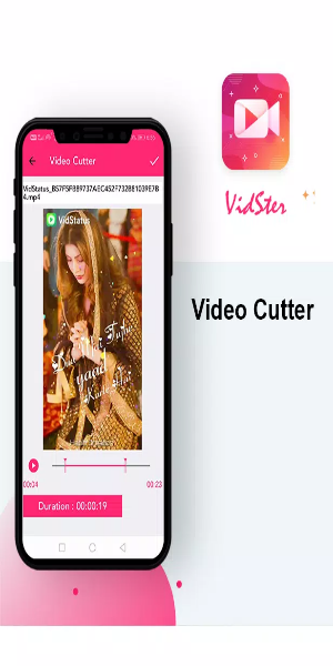 VidSter - Video & Audio Editor Ảnh chụp màn hình 2