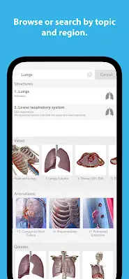 Human Anatomy Atlas 2024 Screenshot 3