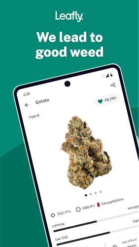 Leafly: Find Cannabis and CBD Screenshot 0