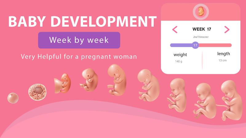 Pregnancy Weeks Tracker Ekran Görüntüsü 1