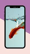 Koi Fish Live Wallpaper Zrzut ekranu 1