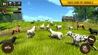 Wild Dog Pet Simulator Games Screenshot 2