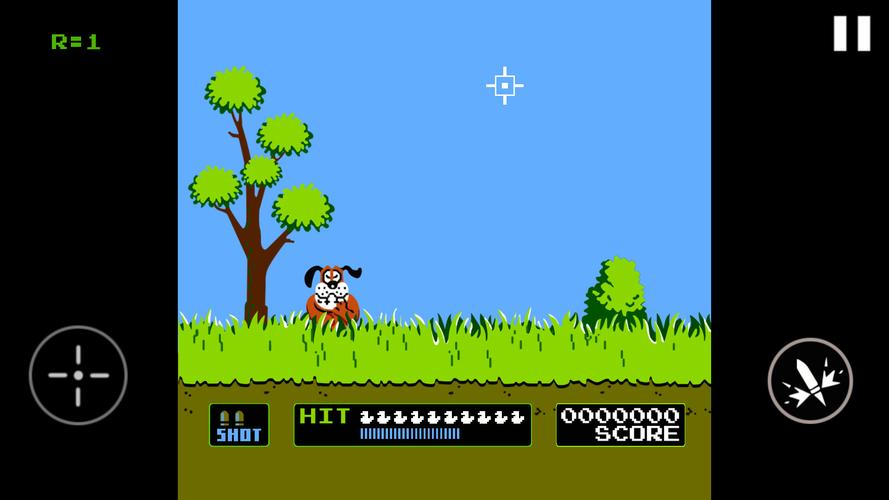 Duck Hunt Ảnh chụp màn hình 0