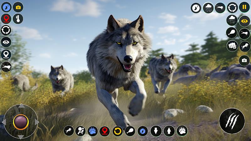 Wolf Simulator: Wild Wolf Game Screenshot 2